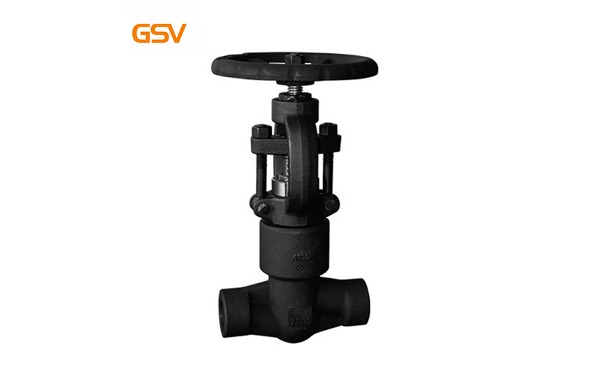 Small size hydrogenation (sulfur resistant) globe valve