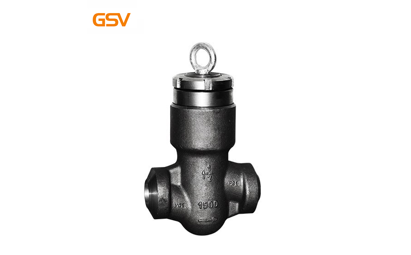 Small size hydrogenation (sulfur resistant) check valve