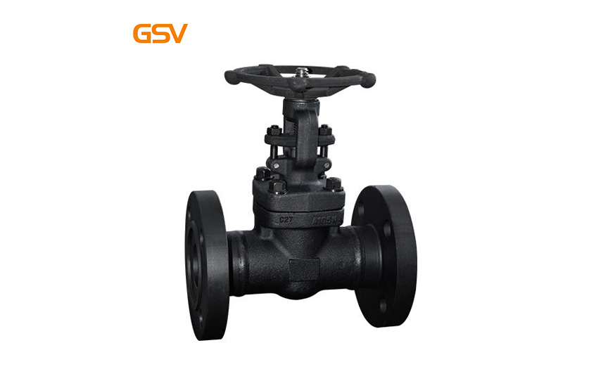 Forged steel flanged gate valve