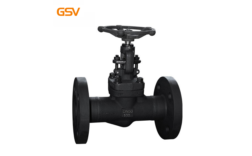 Forged steel flanged globe valve