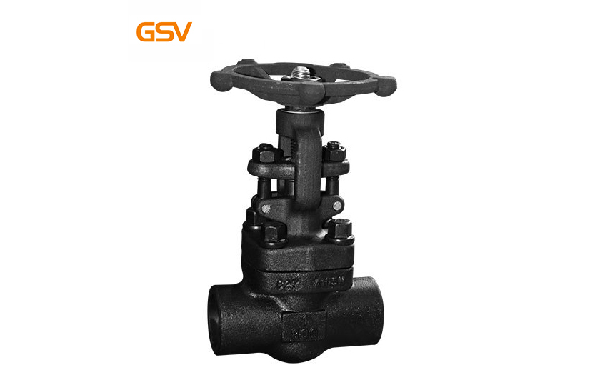 Forged steel globe valve