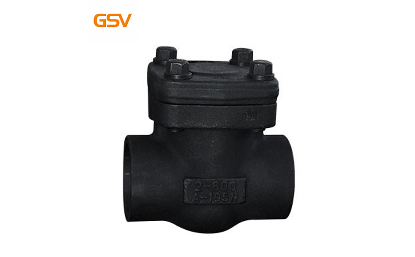 Forged steel check valve