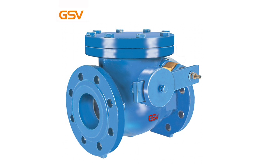 Dashpot check valve