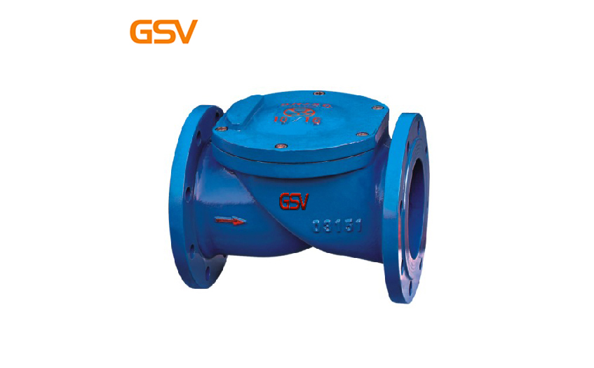 Rubber disc check valve